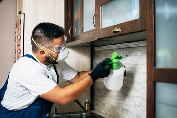 Best Bed Bug Extermination  in Denver, IA