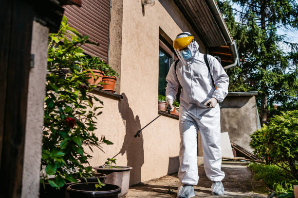Best Pest Removal Services  in Denver, IA