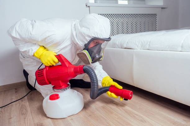 Best Flea Control Services  in Denver, IA
