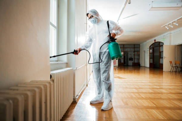 Best Rat Extermination Near Me  in Denver, IA