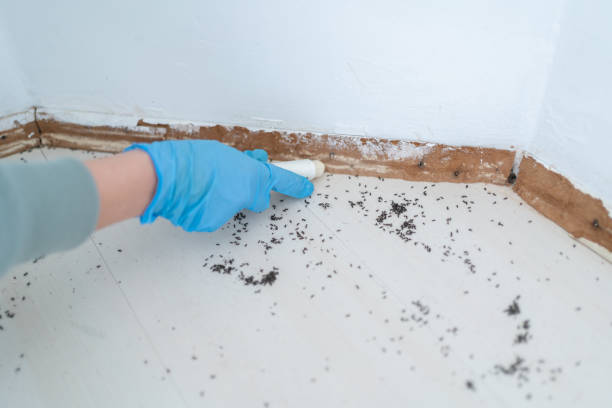 Best Commercial Pest Control Services  in Denver, IA