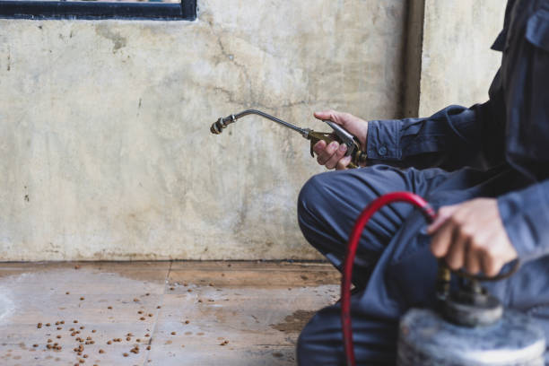 Reliable Denver, IA Pest Control Solutions